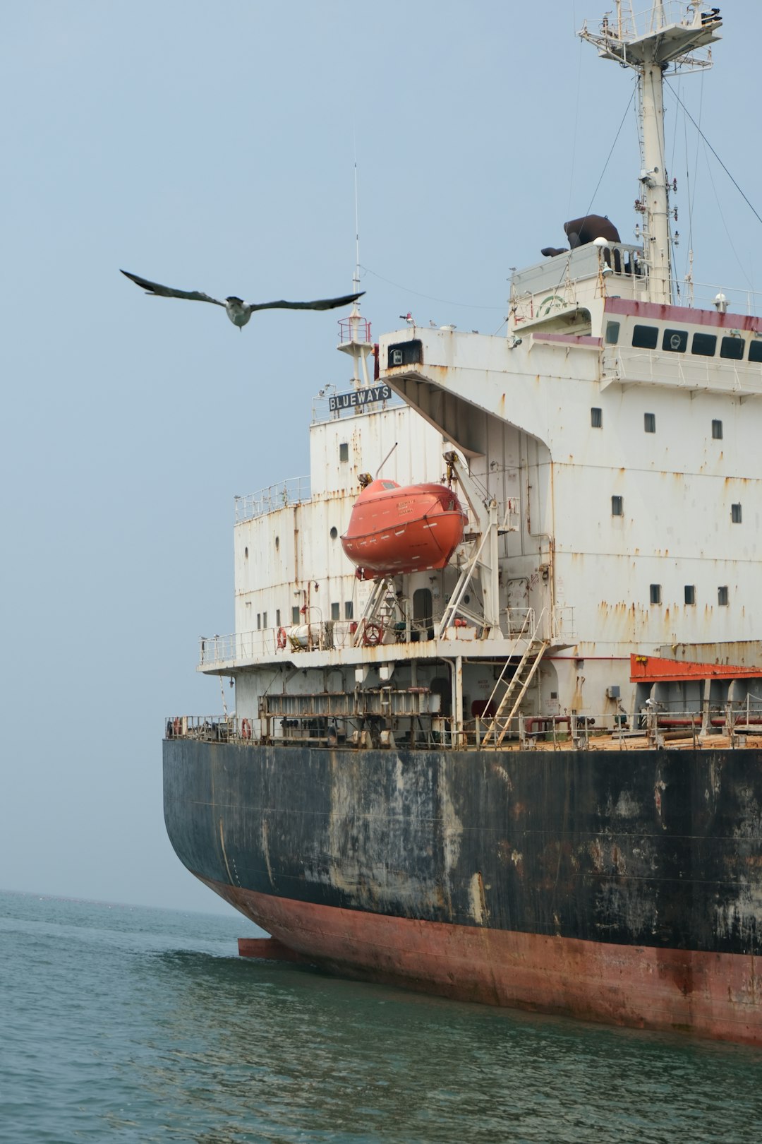 Shipping Antibiotic Medicine Tablets to the Port of Helsinki