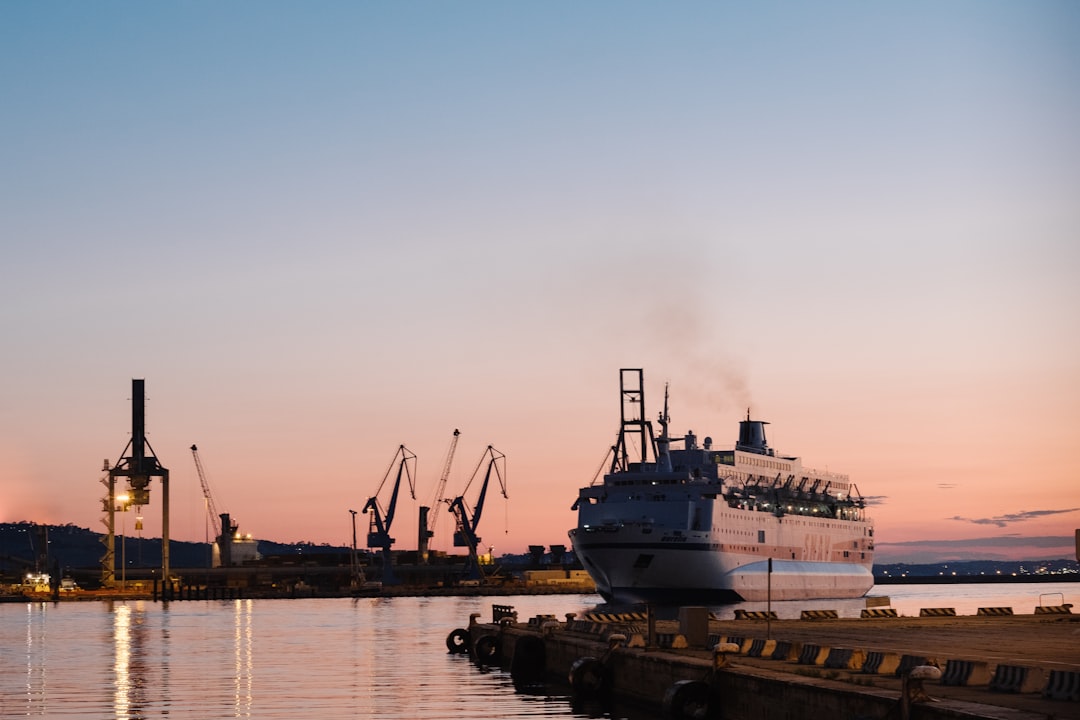 Shipping Active Pharmaceutical Ingredients (HS 294190) to the Port of Caucedo, Dominican Republic