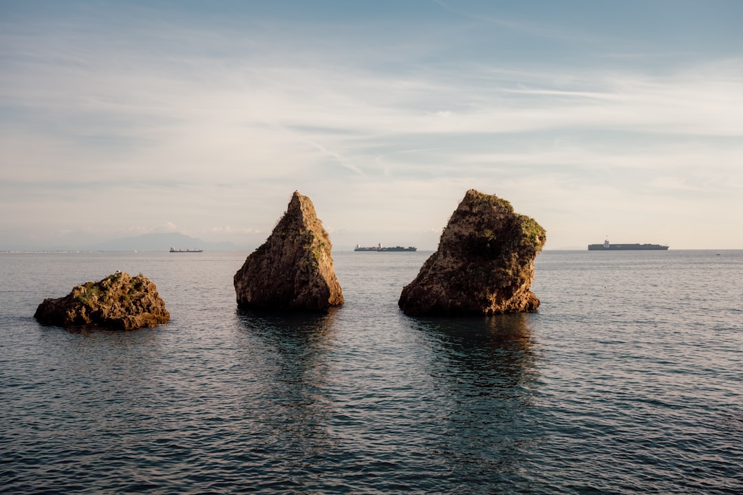 Shipping Organic Tomato Puree Drums to the Port of Dublin