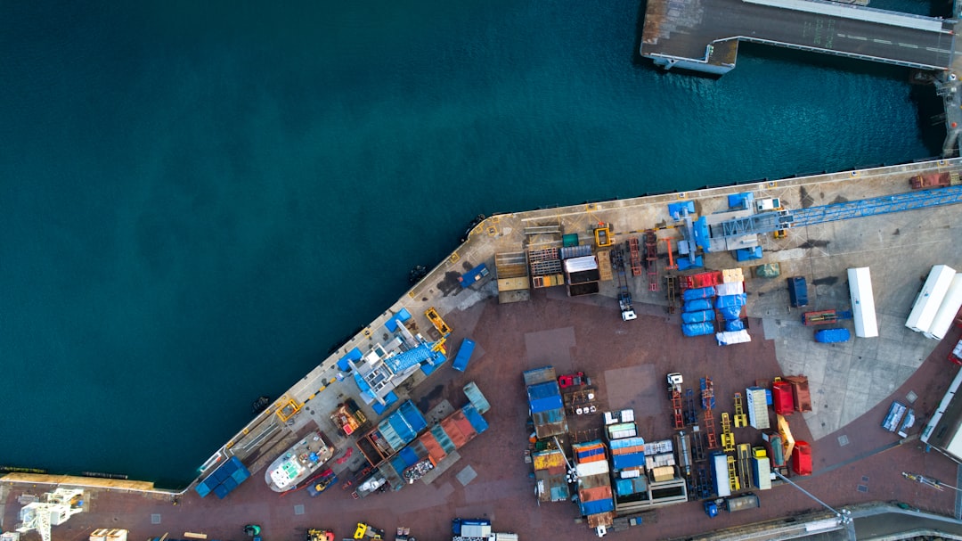 Shipping Frozen Tilapia Fillets (HS 030461) to the Port of Algiers