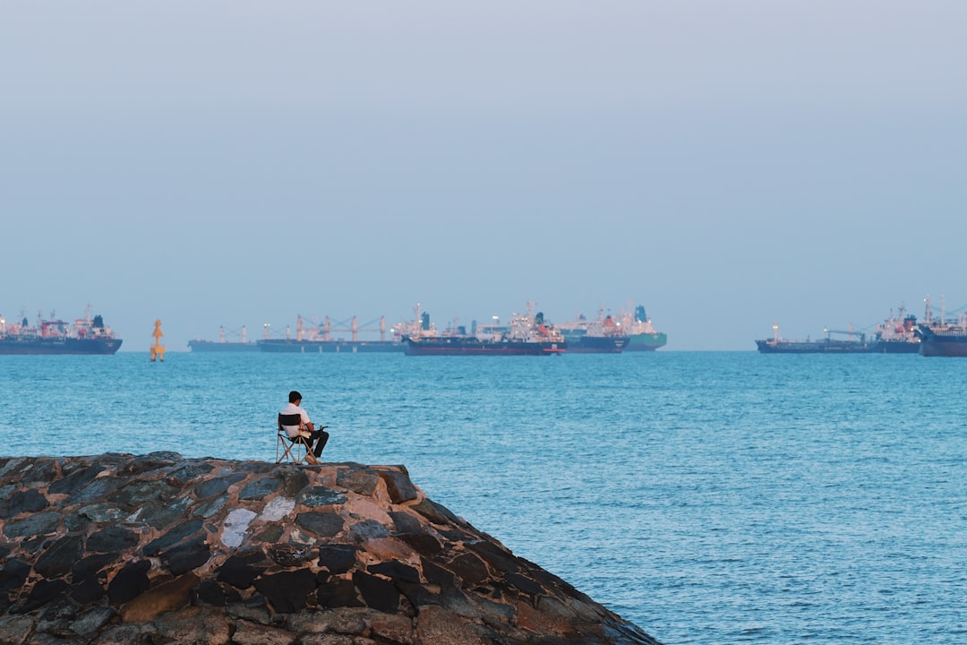 Importing Organic Green Tea Extract to the Port of Said, Egypt