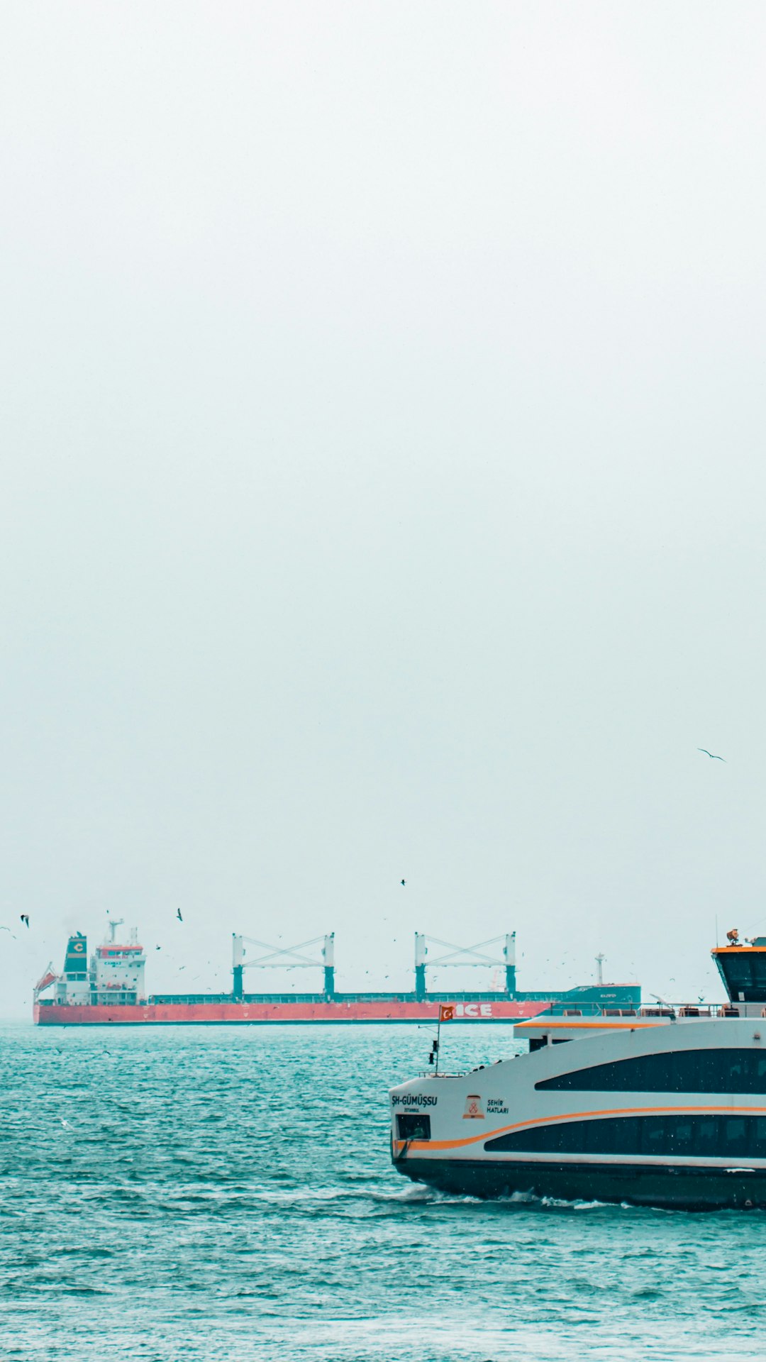Importing Luxury Quartz Watches to the Port of Southampton