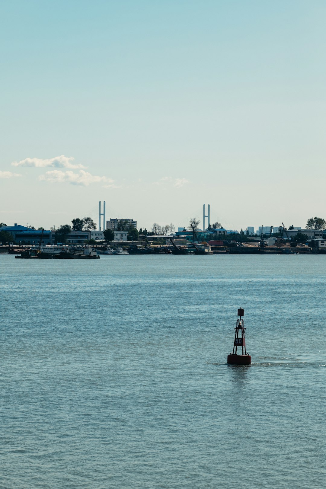 Shipping Automatic Garment Steamers to the Port of Vancouver