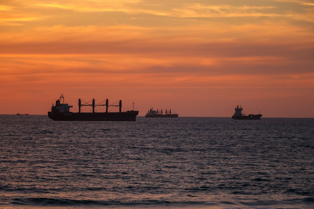 Shipping Organic Green Tea Extract (HS 130219) to the Port of Long Beach