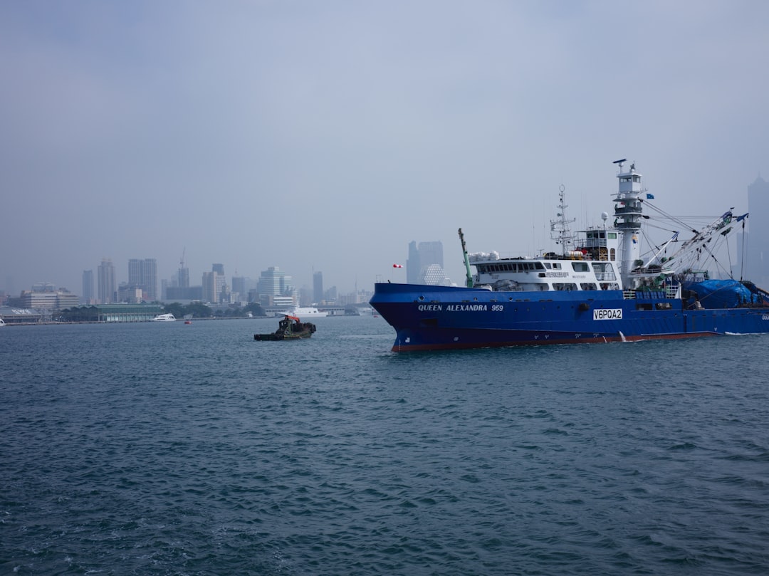 Strategic Logistics for Importing Mechanical Automatic Skeleton Watches to the UAE via Port of Jebel Ali