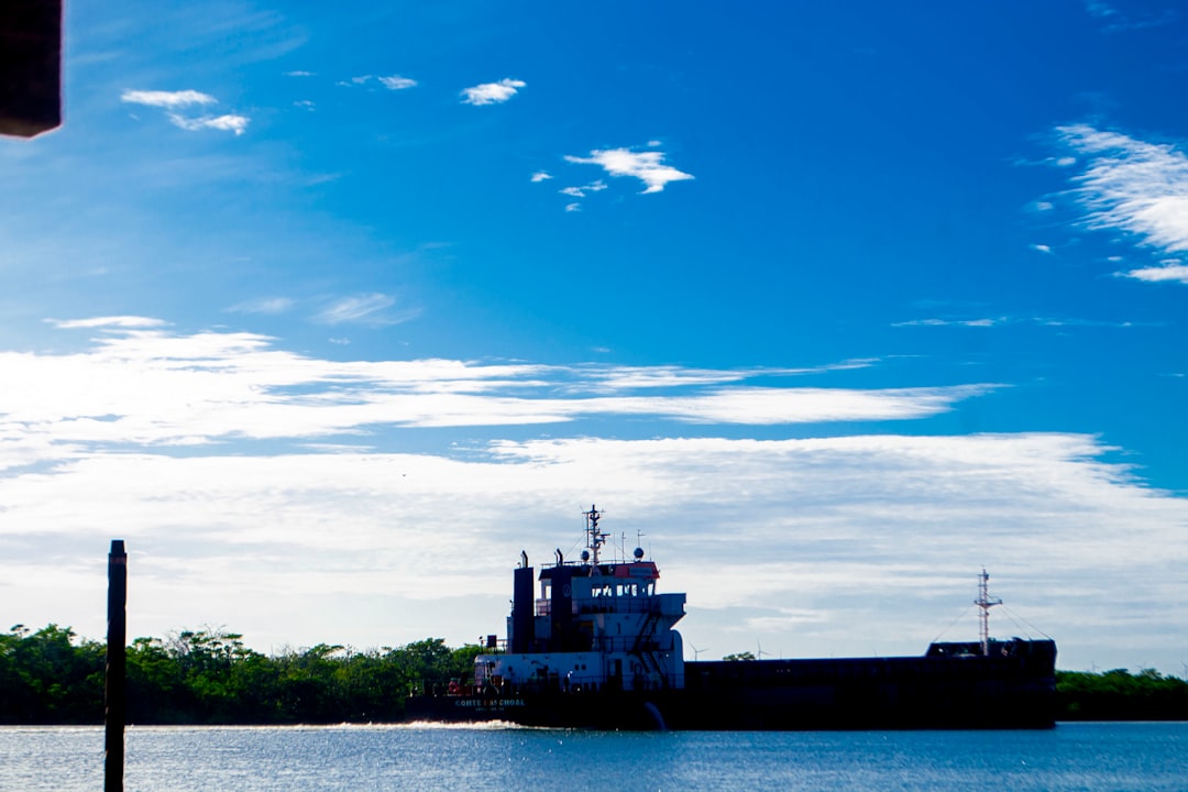 Shipping Vitamin C Supplements (HS 293627) to the Port of Kaohsiung