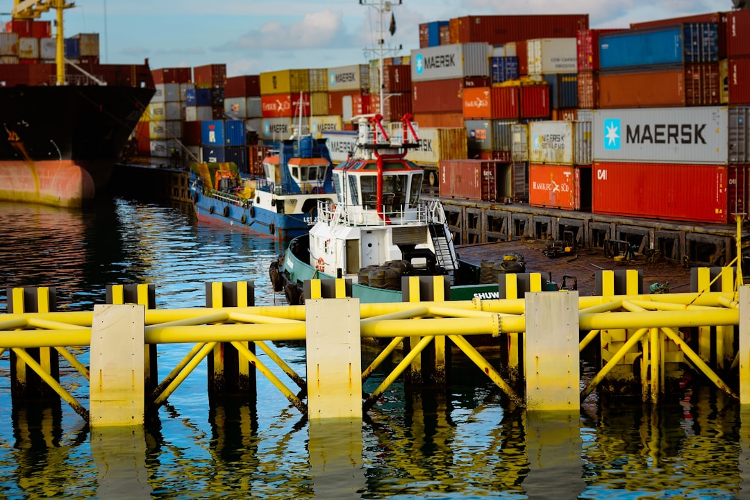 Shipping Pneumatic Sorting Rice Millers to the Port of Algiers